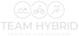 Team Hybrid